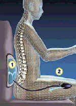 lumbar support